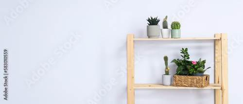 Foto Cozy hobby - growing indoor plants at home