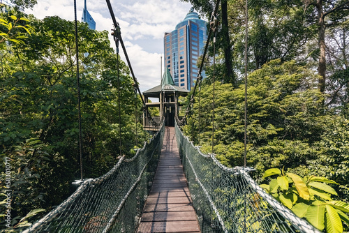 Canvas Print Hanging canopy foot bridge in the Kuala Lumpur Eco Park Forest in Kuala Lumpur M
