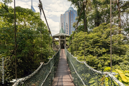 Photography Hanging canopy foot bridge in the Kuala Lumpur Eco Park Forest in Kuala Lumpur M