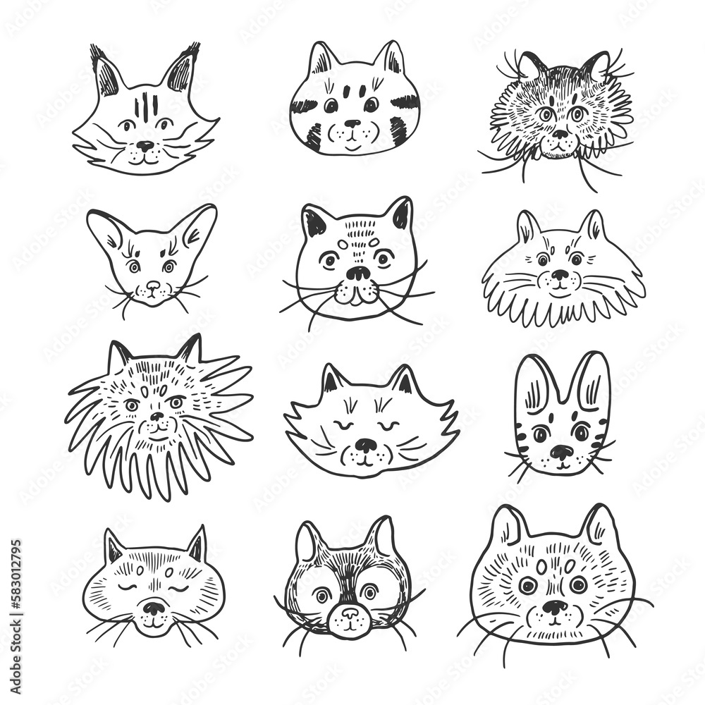 Cat funny animal face vector line illustrations set. Cat funny animal face vector line illustrations set.