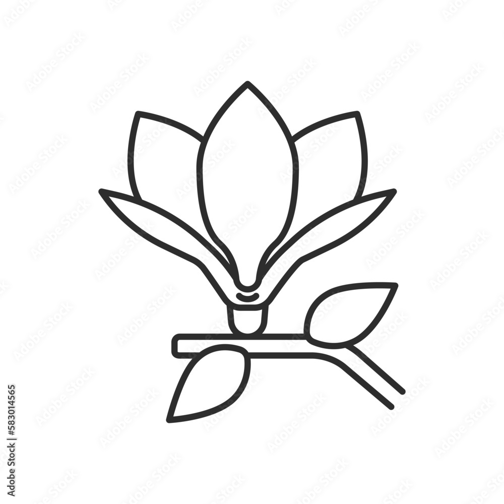 Magnolia flower icon. High quality black vector illustration.