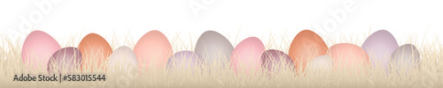 Banner 14 Ostereier Verschiedene Farben In Wiese