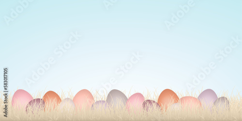 Banner 14 Ostereier Verschiedene Farben In Wiese Beige Himmel
