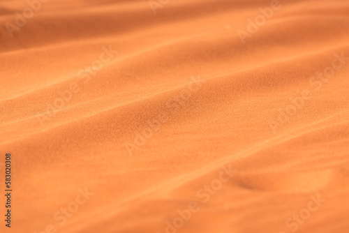 Golden orange desert sand texture background  Wadi Rum  Jordan
