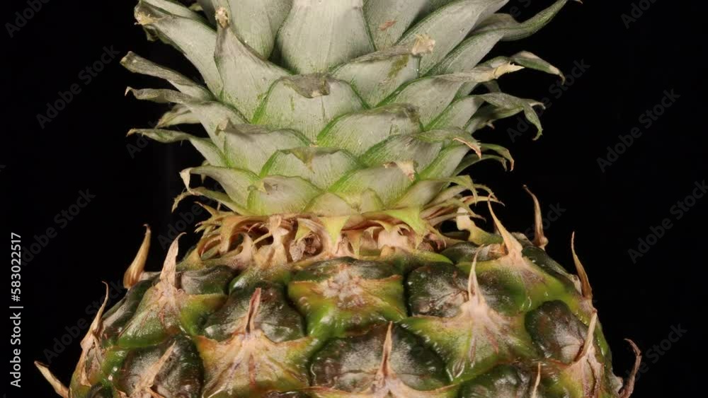 Pineapple turning slowly on black background
