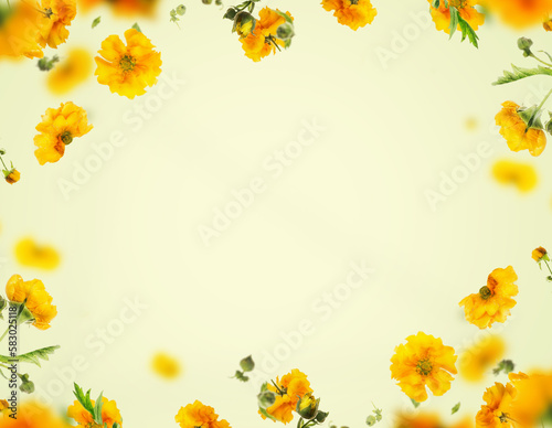 Floral frame with yellow flowers at light background