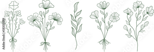 Botanical Line Art