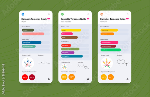 UI Cannabis Terpene Guide Information Chart. Aroma and Flavor with Health Benefits and Vaporize Temperature. Vector. photo