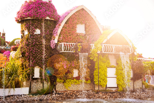 Photography Flower houses at Miracle garden in Dubai, beautiful park with many flowers and d