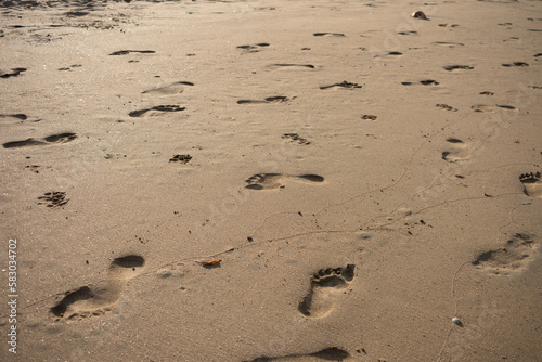 footprints in the sand