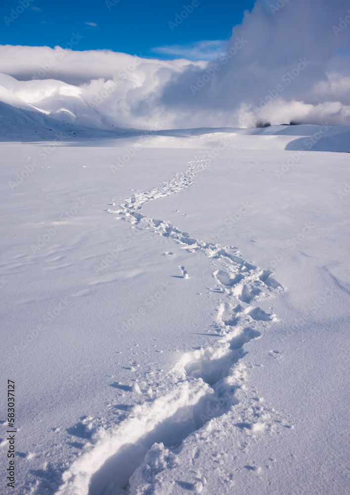 Winter landscape, footprints path in snow valley in bright sunny day Winter landscape, footprints path in snow valley in bright sunny day