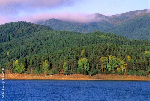 Sila National Park, Lake Ampollino, District of Cosenza, Calabria, Italy, Europe