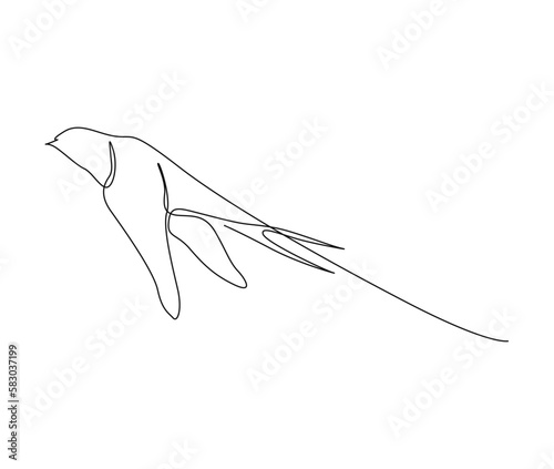 Continuous one line drawing of flying swallow bird. Simple barn swallow outline vector illustration.
