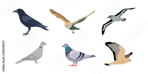 Set of birds isolated on white background. Flat style illustration. Birds collection. Vector illustration