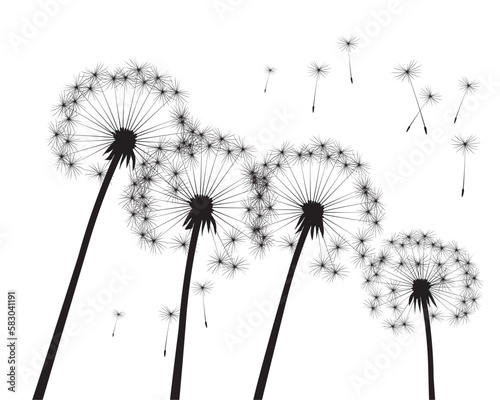 Shape of vector dandelion. Outline illustration.