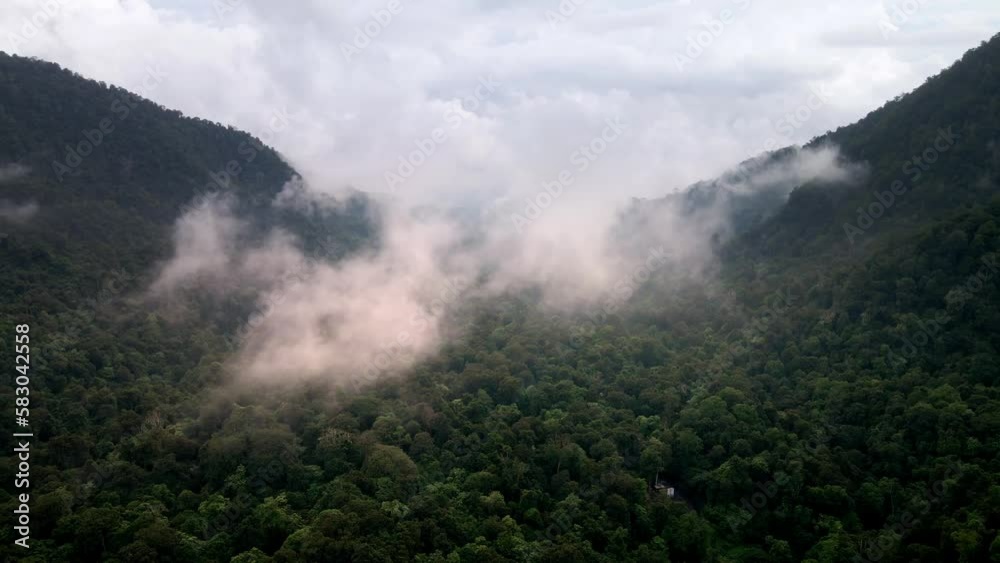 Epic Aerial Shot of Drone flying through clouds in Vast Rainforest Jungle Landscape Background Texture Cloudy Weather in Sumbawa island, Indonesia. Cinematic Drone 4k. Epic Aerial Shot of Drone flying through clouds in Vast Rainforest Jungle Landscape Background Texture Cloudy Weather in Sumbawa island, Indonesia. Cinematic Drone 4k.