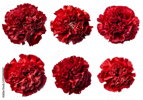 Assorted red carnation flower heads on transparent PNG background. Created with Generative AI. photo