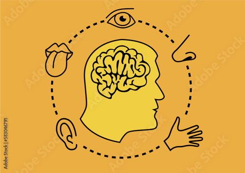 Concept des 5 sens avec le cerveau entouré d’un nez pour l’odorat, d’un œil pour la vue, d’une langue pour le goût, d’une oreille pour l’ouïe et d’une main pour le toucher.
