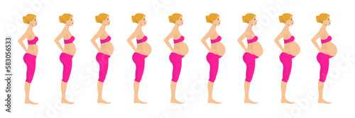 Pregnant european woman. Pregnancy stages. Pregnancy cycle. Weeks of Pregnancy. Abdominal growth of pregnant girl