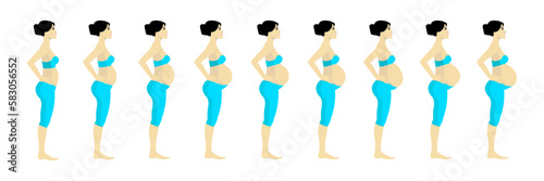 Pregnant asian woman. Pregnancy stages. Pregnancy cycle. Weeks of Pregnancy. Abdominal growth of pregnant girl