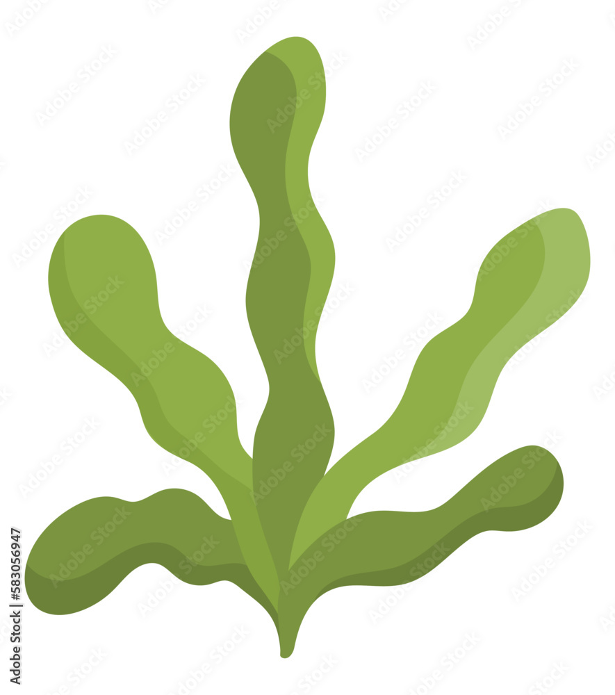 Vector green seaweeds icon. Under the sea illustration with cute kelp. Ocean plant clipart. Cartoon underwater or marine clip art for children isolated on white background. Vector green seaweeds icon. Under the sea illustration with cute kelp. Ocean plant clipart. Cartoon underwater or marine clip art for children isolated on white background.
