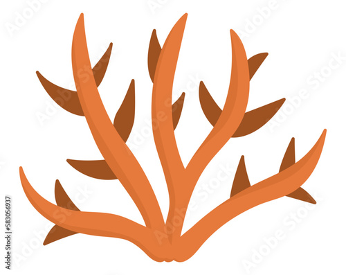 Vector orange coral icon. Under the sea illustration with cute seaweeds. Ocean plant clipart. Cartoon underwater or marine clip art for children isolated on white background.