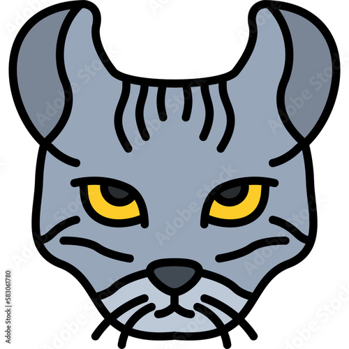 Photos Highlander Cat Icon