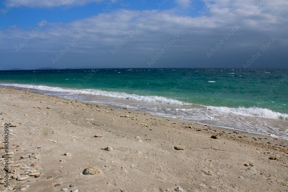 Seascape. Ocean is shaking. Small waves roll on the sandy beach in cloudy weather.