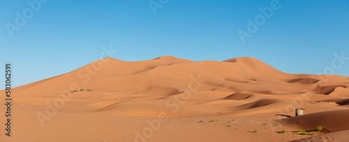 landscape of golden sand dune with blue sky- Sahara desert, Morocco