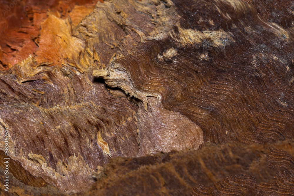 close-up of chopped wood texture close-up of chopped wood texture