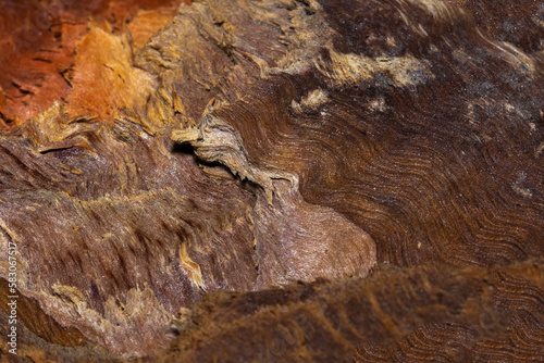 close-up of chopped wood texture