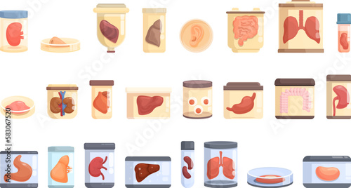 Growing Organs icons set cartoon vector. Human heart. Medicine mind