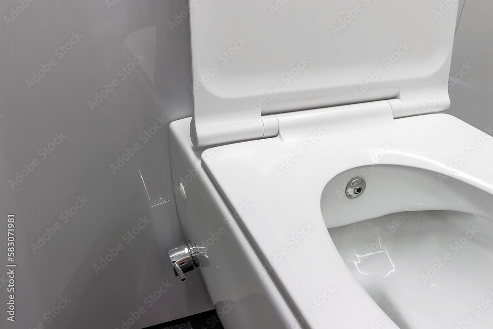 Toilet bowl with control bidet. Water sprays from the toilet bowl. A