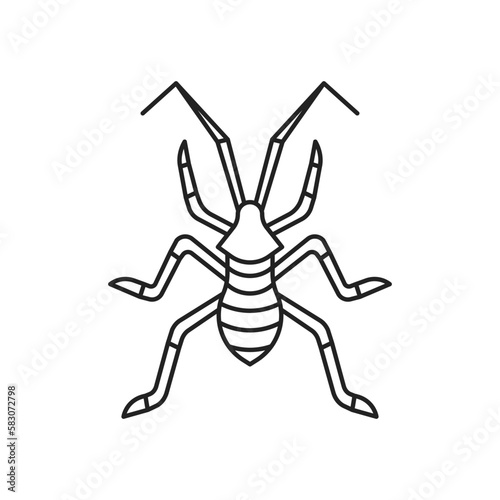 Coreidae insect icon. High quality black vector illustration.