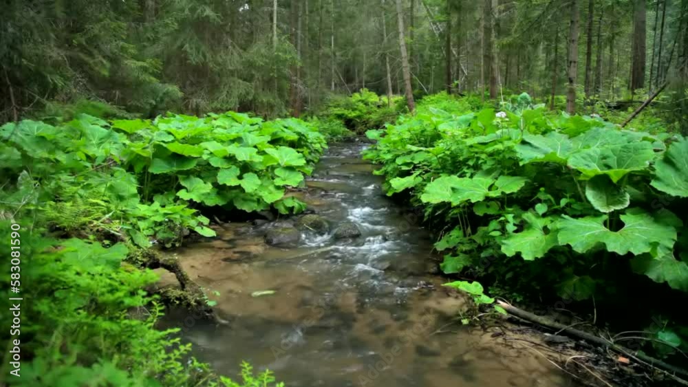Mountain landscape with forest river, real time, hd. ProRes 422 HQ. Mountain landscape with forest river, real time, hd. ProRes 422 HQ.