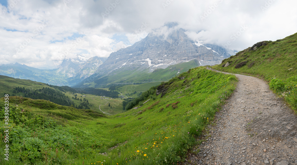 alpine trail, Kleine Scheidegg, swiss alps alpine trail, Kleine Scheidegg, swiss alps