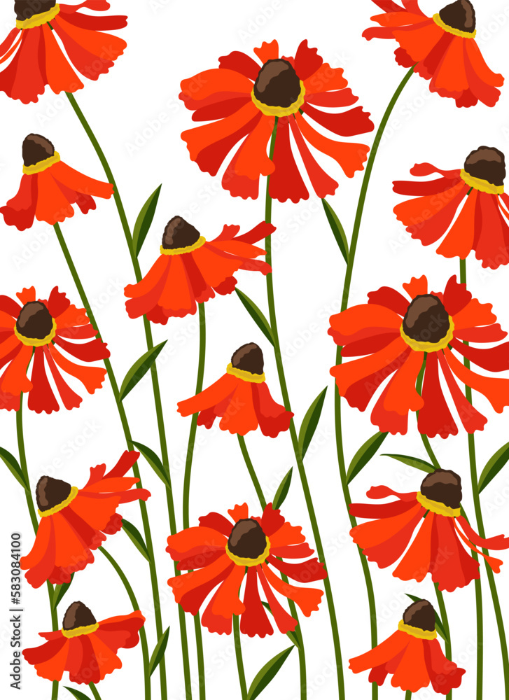 Fototapeta premium Helenium autumnal flower background.Eps 10 vector.