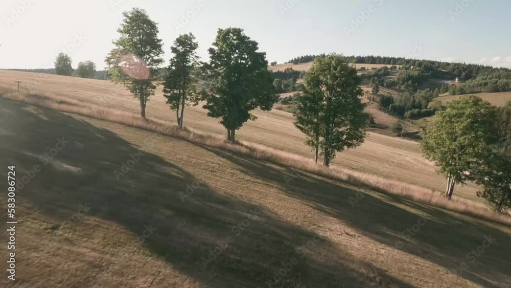 Aerial racing drone footage. Flying forward in between deciduous trees and above a tractor gathering hay on a meadow in a countryside with spruce forest in the background. LuPa Creative.