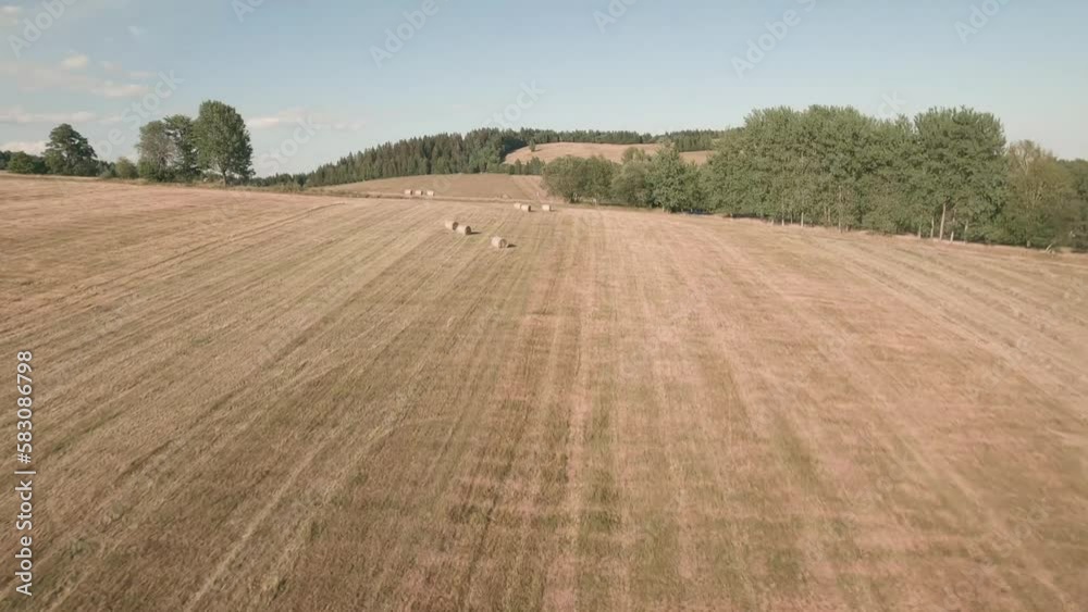 Aerial racing drone  Slow-motion  footage. Flying above a tractor gathering dried hay on a meadow in a scenic countryside with spruce forest in the background. Summer sunset. LuPa Creative.