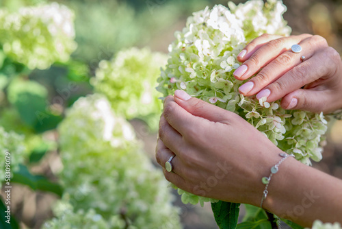 Banner with a female hand with a gentle nude manicure against the background of a white hydrangea in summer. Care and beauty concep