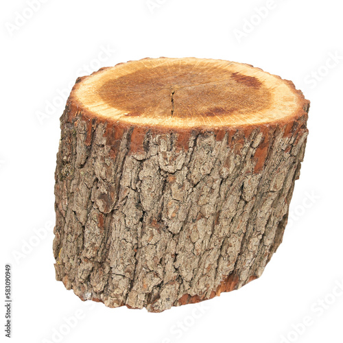 Wooden stump in PNG isolated on transparent background