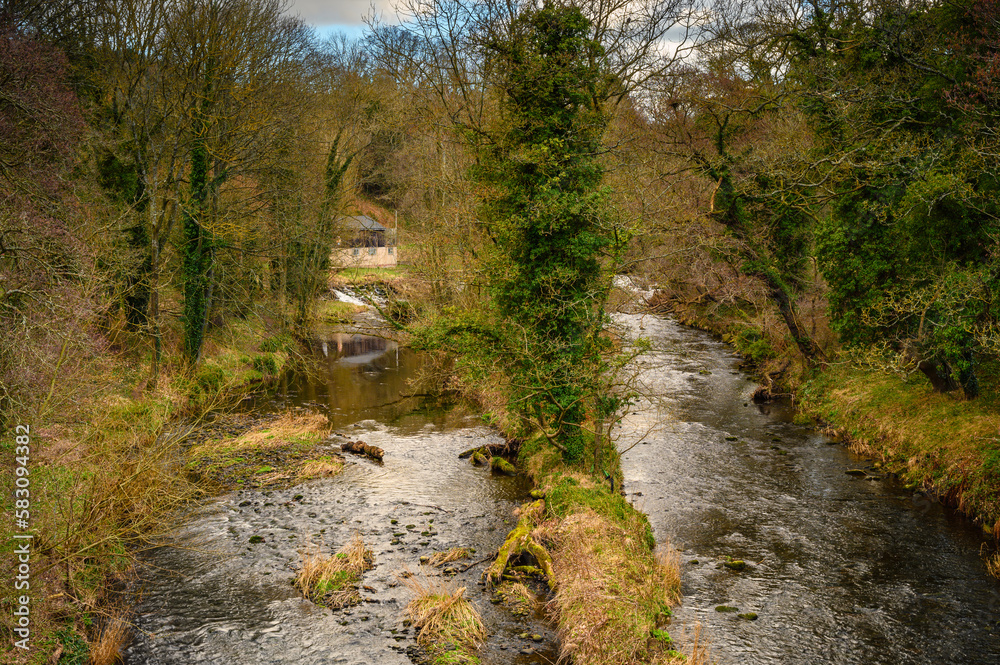 Tree Lined River Derwent downstream of weir, formed by the meeting of two burns in the North Pennines and flows between the boundaries of Durham and Northumberland as a tributary of the River Tyne Tree Lined River Derwent downstream of weir, formed by the meeting of two burns in the North Pennines and flows between the boundaries of Durham and Northumberland as a tributary of the River Tyne