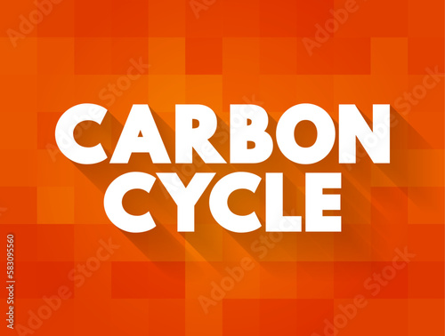 Carbon Cycle - process in which carbon atoms continually travel from the atmosphere to the Earth and then back into the atmosphere, text concept background