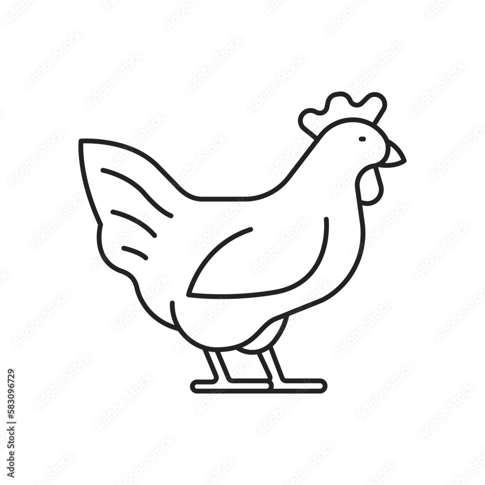 Fototapeta premium Chicken icon. High quality black vector illustration.