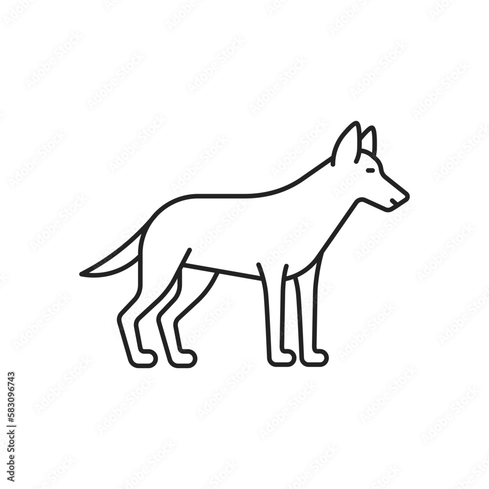 Dog icon. High quality black vector illustration.