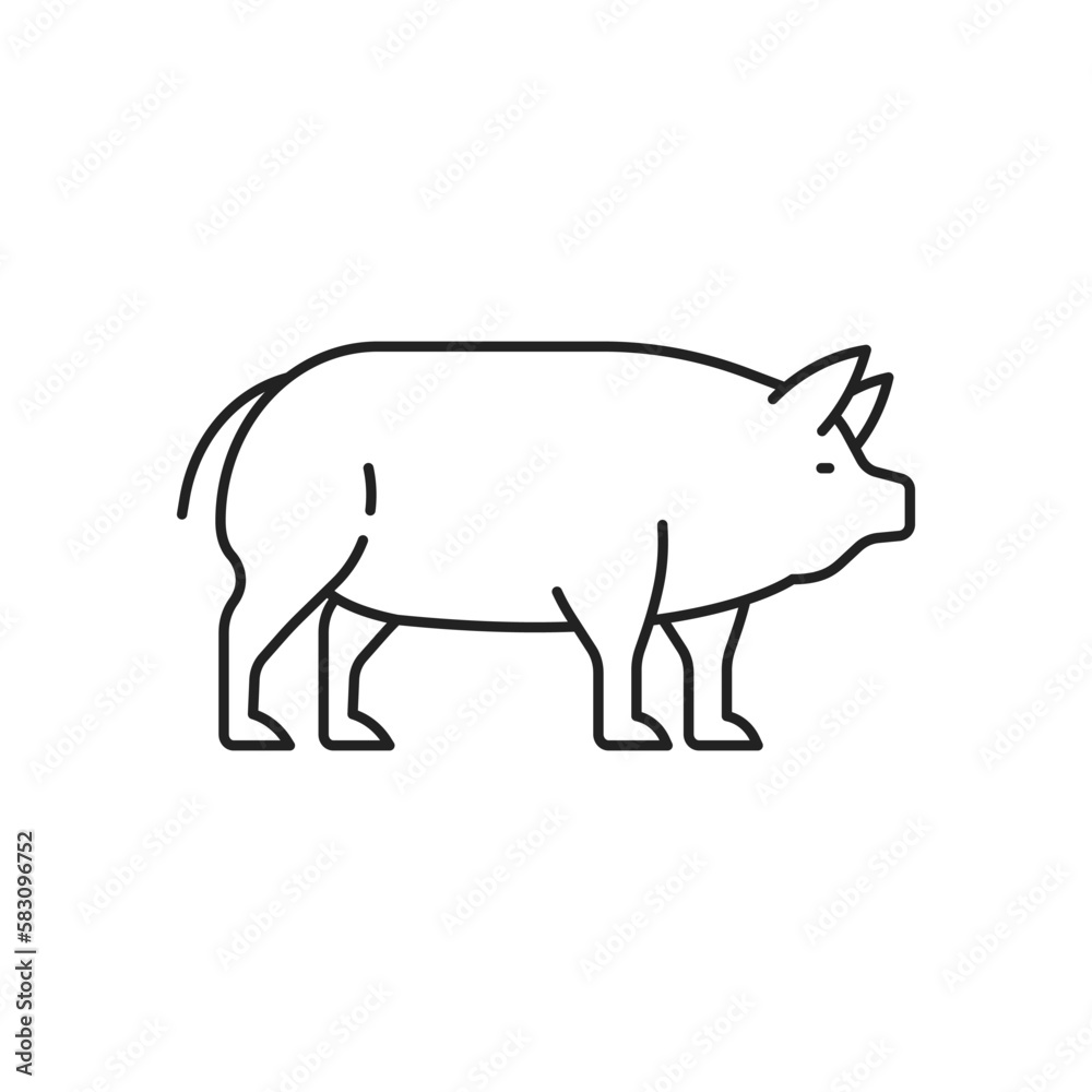 Pig icon. High quality black vector illustration.