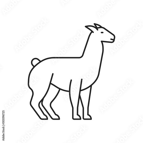 Alpaca icon. High quality black vector illustration.