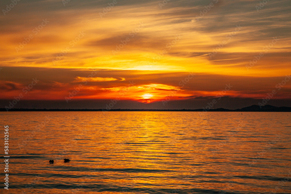 Fototapeta premium sunset over the sea