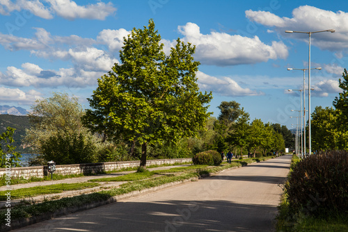 road in the park