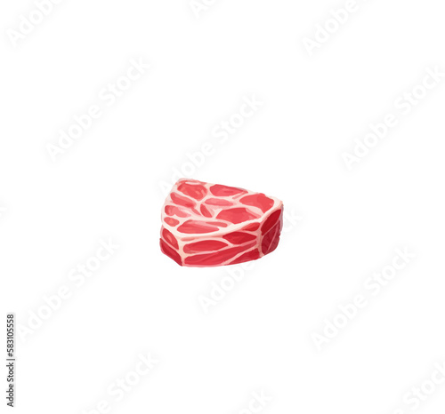 A piece of juicy meat cut into steaks on a white background. Vector illustration